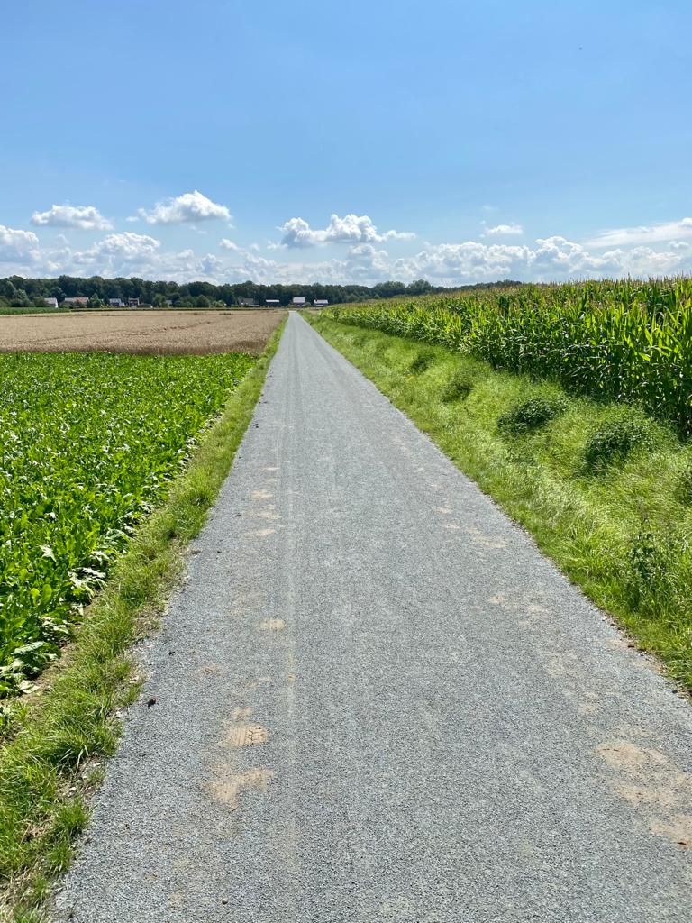 Aangelegde halfverharding in Steenokkerzeel door Verhoeve Roads
