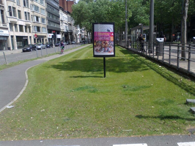 Grindgazon op de Leien in Antwerpen